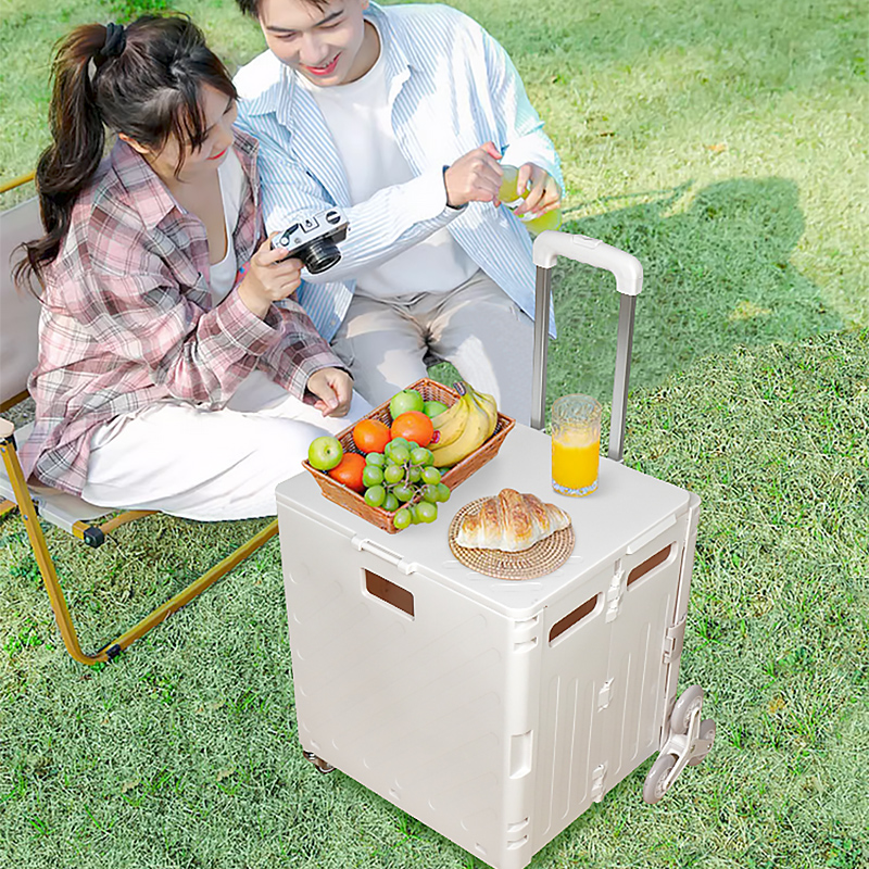 Lightweight Brushed Trolley Lu - Pull Cart Fold ulasan dan harga